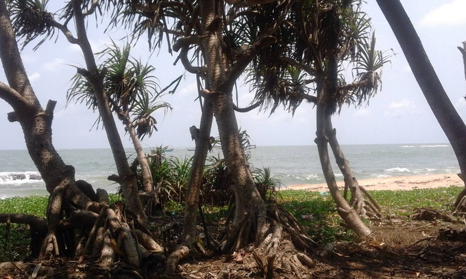 Gujjadi Bed & Breakfast | ‘SAI DHAM’ Beach House Bungalow for Rent in Gujjadi
