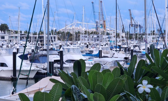 Townsville Apartment | Sail away in the breezes or wander the Strand/ beach/ restaurants.