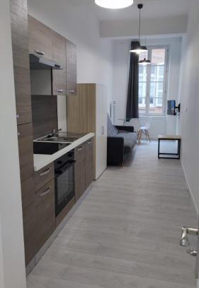 Saint-Etienne Apartment | Saint Etienne Studio Lot 7