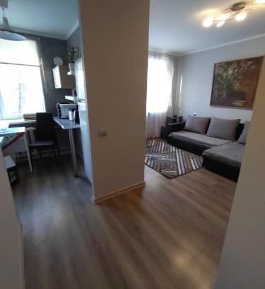 Vidzeme Suburb Apartment | Saknes apartamenti