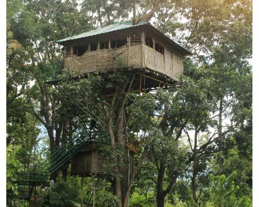Ramakkalmedu Resort | Salaams Raama Heritage Eco Village