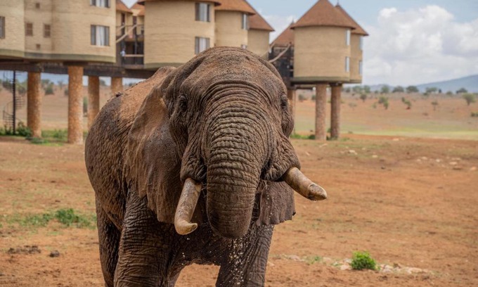 Murka Cabin | Salt Lick Safari Lodge