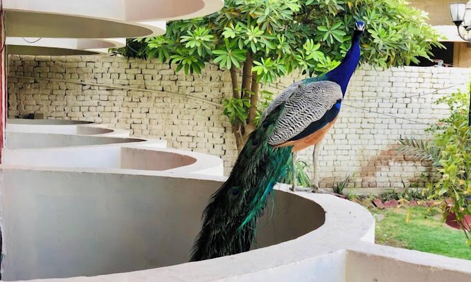 Larkana Hotel | Sambara Inn