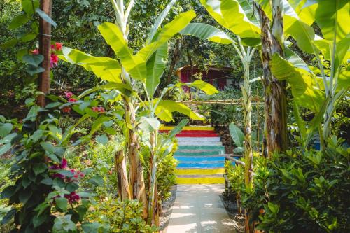 Cola Hotel | Samyama Retreat
