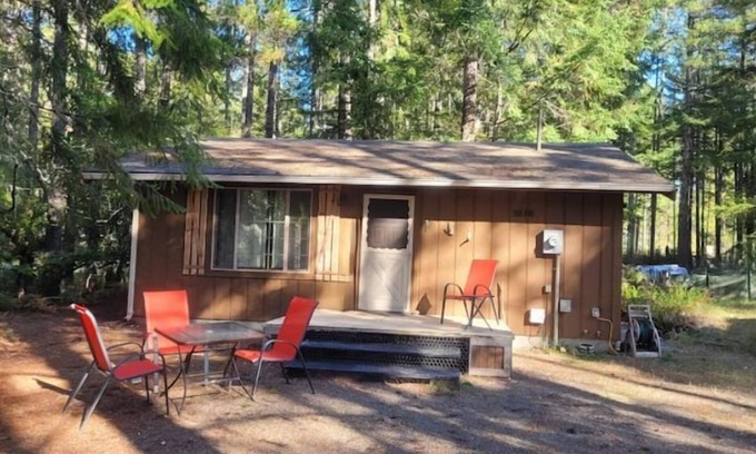 Hoodsport Cabin | San Gregorio - A Cozy & Dog Friendly Forest Retreat