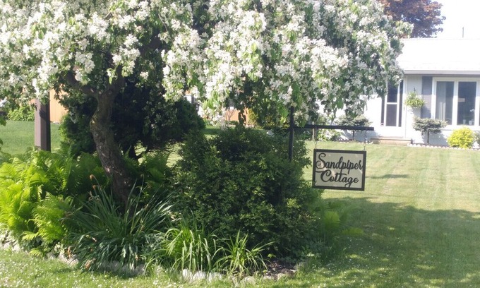 Long Point Cabin | SANDPIPER COTTAGE Long Point, minutes to the Beach with Bay access! BOOK SUMMER SEASON!