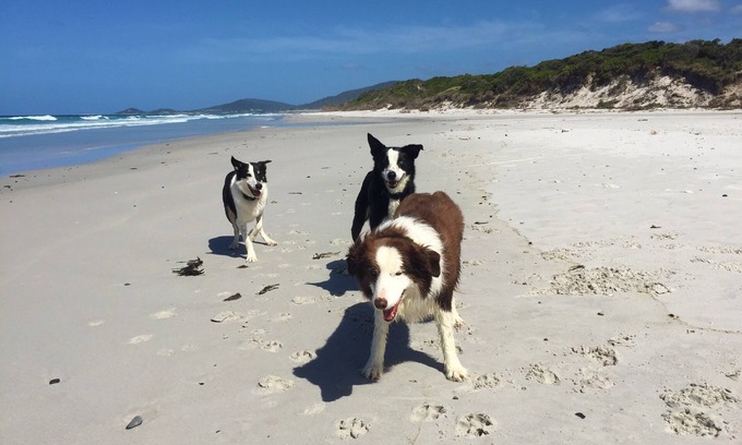 Douglas River Cottage | Sandpiper Ocean Cottages