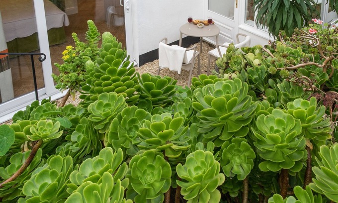 St Ives Apartment | Sands Studio & Samphire Studio