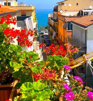 Termoli Apartment | sandy beach