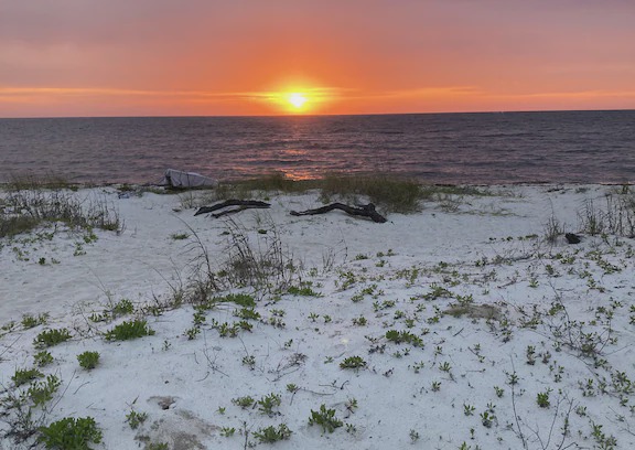 Alligator Point House | Sandy Toes in Alligator Point - Cottage Retreat only steps from the beach!