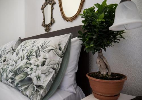 Kato Vrontou House | SANTA CRUZ country cottage