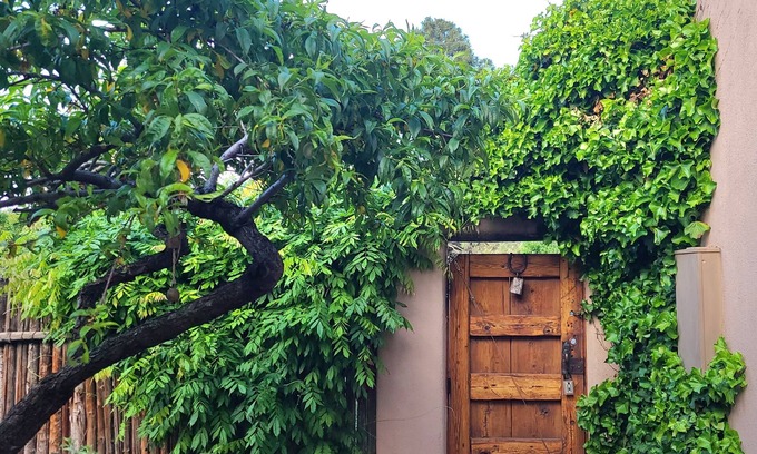 Santa Fe House | Santa Fe - Charming Home 2 Bed 2 Bath n - On a Park -