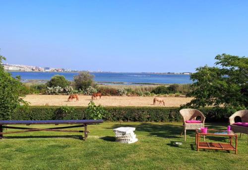 Elmas Bed & Breakfast | Santa Igia - Country House