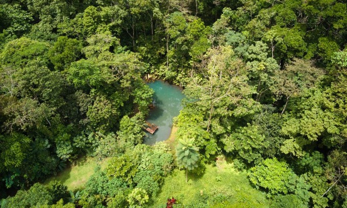 Valle Azul House | Santuario de Ranas - Explora nuestro paraíso natural