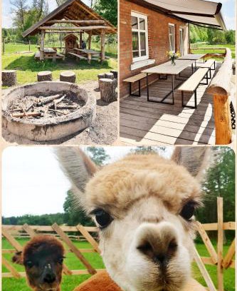 Piecki House | SARNOGRÓD - Agroturystyka z alpakami