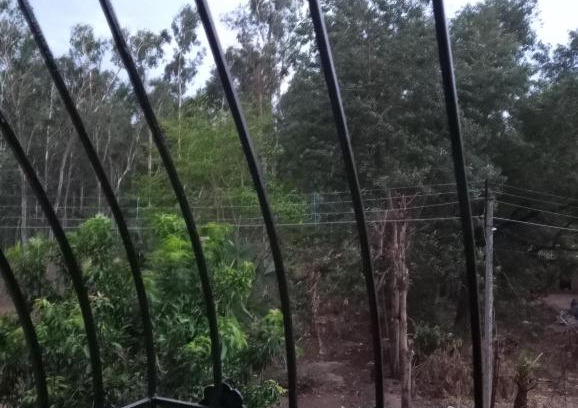 Bolpur House | SARTHAK HOME STAY