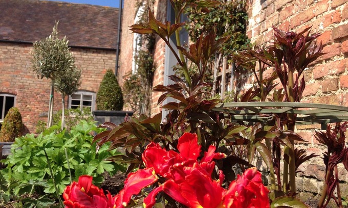 Saul Bed & Breakfast | Saul Farm
