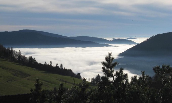 Todtnauberg Apartment | Schöne Aussicht