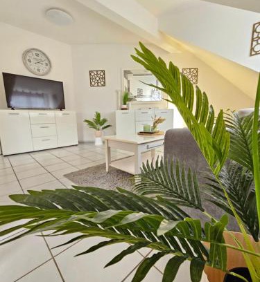 Bad Kreuznach Apartment | schöne DG Wohnung im Zentrum