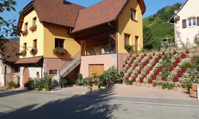 Bernardville Apartment | Schieferberg in the heart of the vineyards