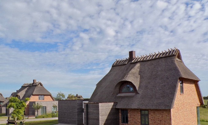 Nieby House | Schilfinsel das Atelierhaus Unter Reet für bis zu 8 Personen & Wildwiesenblick