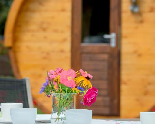 Dingden Other | Schlaffass Campingplatz Nordbrock