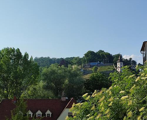 Bruck an der Mur Apartment | Schlossbergblick