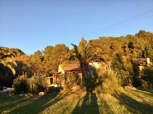 Paraza Bed & Breakfast | Schwanenvilla