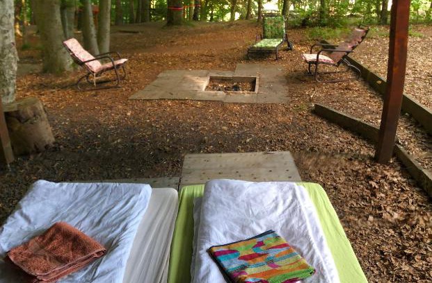 Potzwenden Other | Schwedischer Shelter unter Buchen