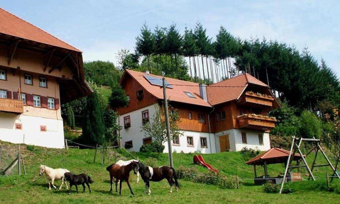 Schuttertal House | Schwoererhof