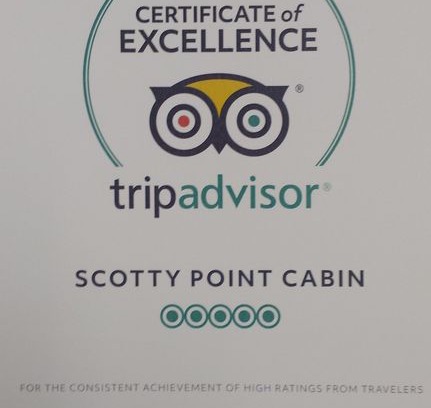 Trinidad House | Scotty Point Cabin - Secluded, Fresh, & Right on the Coast!