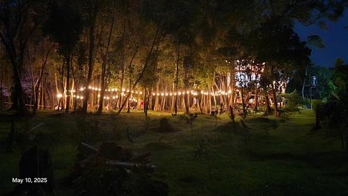 Cavinti Other | Señor Magallanes Fruit Farm and Lakeview Resort