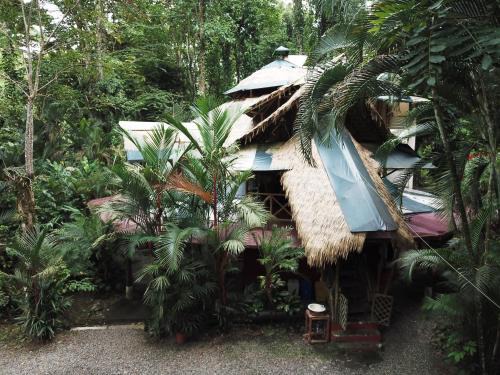 Manzanillo Bed & Breakfast | Se Ua