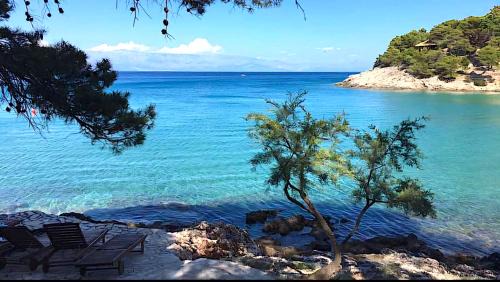 Island Hvar Apartment | Sea Breeze Jelsa