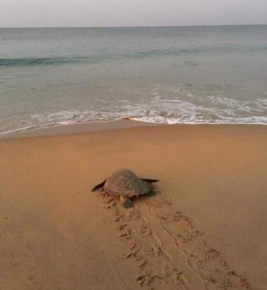 Eravipuram House | Sea castle beach homestay