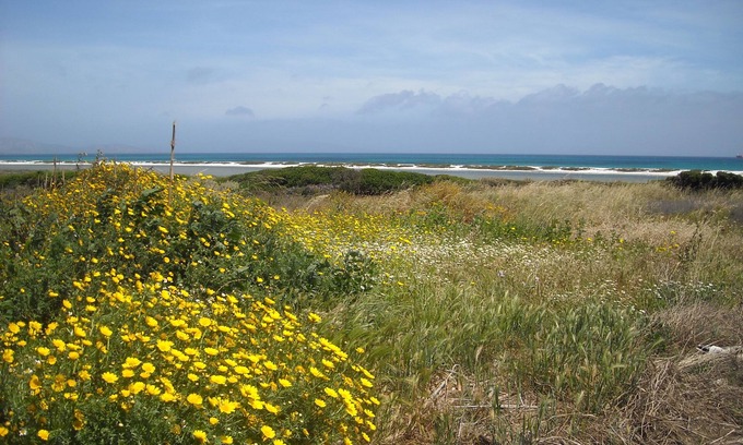 Stintino House | Sea, Nature and Relax: holiday home in Stintino - Sardinia