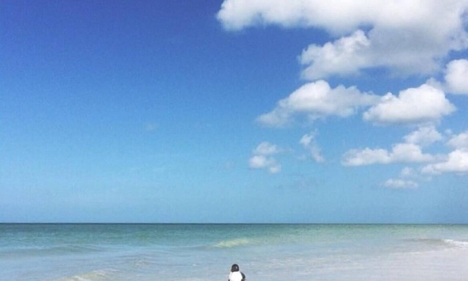 Redington Shores Condo | Sea Oats - Lauren Cove