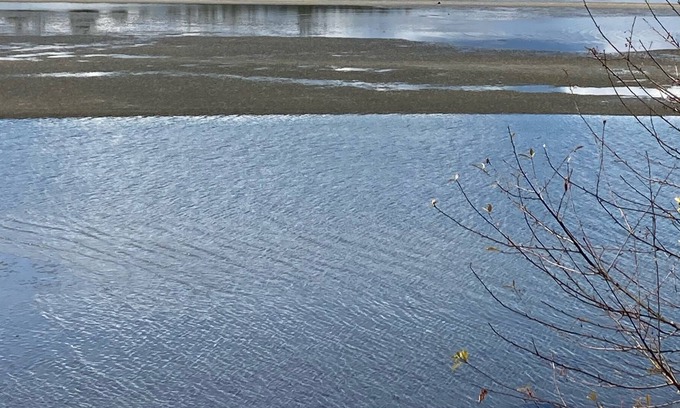 Regional District of Nanaimo Condo | Sea/Sand/Salt.Oceanfront Island Gem, Come Relax and Rejuvenate!