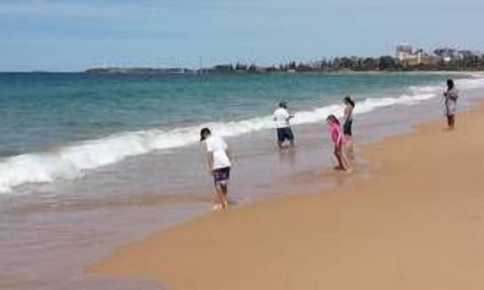 Wollongong Apartment | Sea Shells Wollongong. Discount for bookings over a month