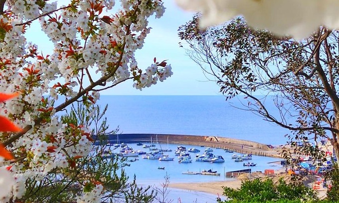 Lyme Regis Apartment | Seabreeze