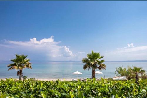 Polichrono Villa | Seafront luxury Villa Almyra, Chalkidiki