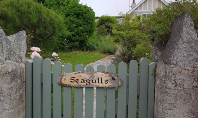 Padstow House | Seagulls, Porthcothan Bay