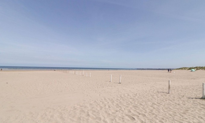 Castlerock Cottage | Seashells