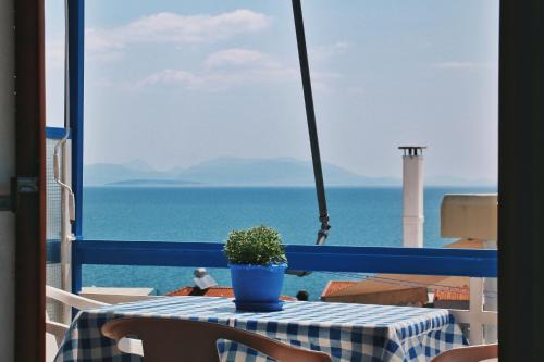 Kefalari Apartment | Seaview- 2 Space - selfcatering Apartment - Helen No 3