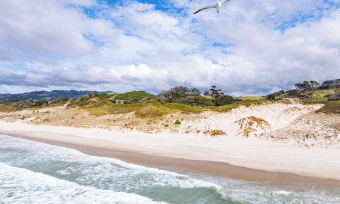 Pakiri House | Seaview and Pohutukawa - Pakiri Beach Retreat