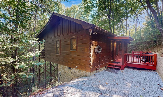 Blue Ridge Cabin | Secluded Dog-Friendly Cabin w/Deck, Private Hot Tub, Firepit, & Wood Fireplace
