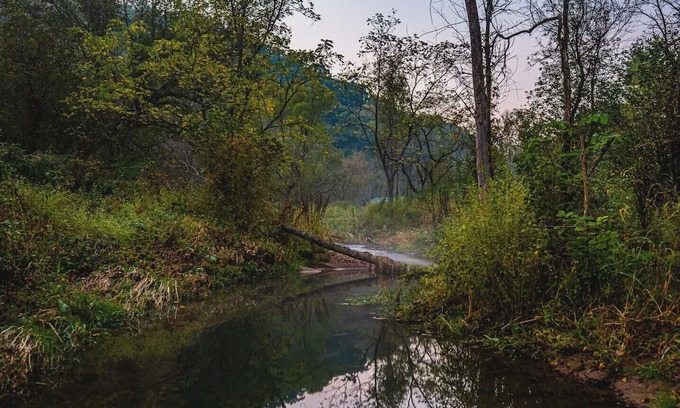 De Soto Cabin | Secluded Log Cabin with Hot Tub - Near Mississippi River