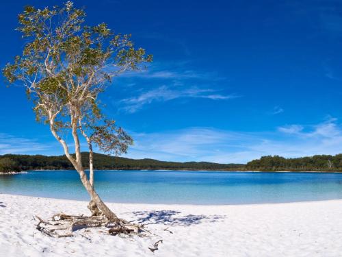 Kingfisher Bay Villa | Secluded Luxury Villa 634 Kingfisher Resort