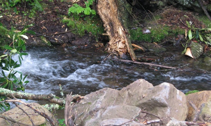 Damascus Cabin | Secluded with bold creek at 4000 elevation