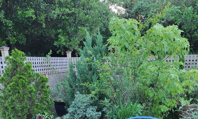 Duck Apartment | Secret garden retreat 3 minutes from beach!